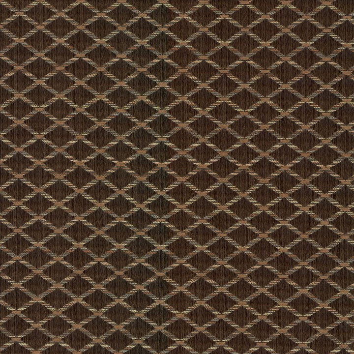 Diamonside Chocolate  by Kasmir Fabric See sample 55% Polyester
45% Rayon
 CHINA 25,000 Wyzenbeek Double Rubs </p><p>Repeat: Horizontal: 1 2/8 inches and Vertical: 4/8 inches 55  - Fabric Carolina -