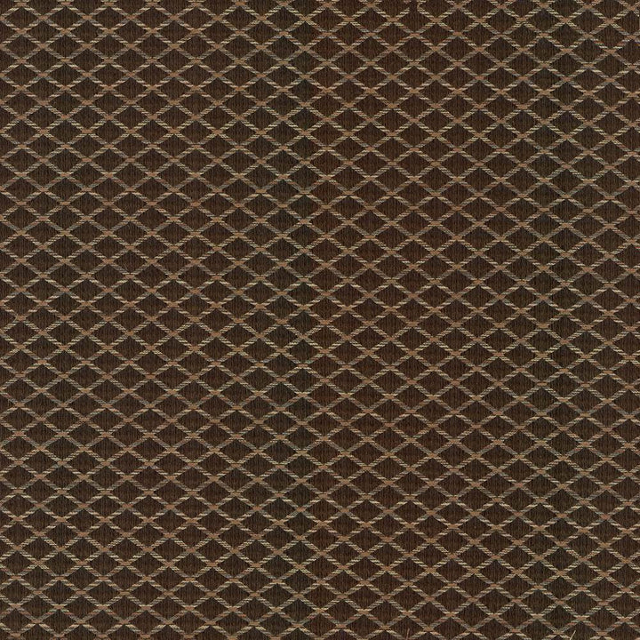 Diamonside Chocolate by Kasmir Fabric 5084 55% Polyester
45% Rayon
 CHINA </p><p>Repeat: Horizontal: 1 2/8 inches and Vertical: 4/8 inches 55 - Fabric Carolina -
