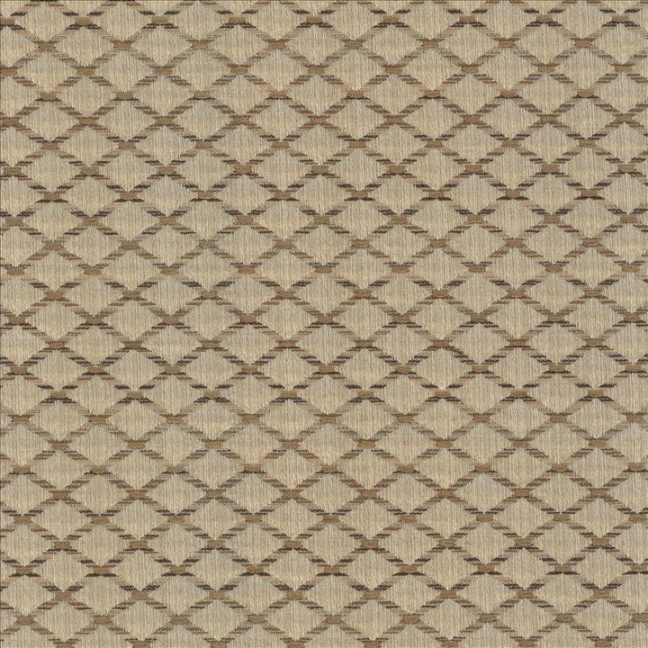 Diamonside Latte by Kasmir Fabric 5083 55% Polyester
45% Rayon
 CHINA </p><p>Repeat: Horizontal: 1 2/8 inches and Vertical: 4/8 inches 55 - Fabric Carolina -