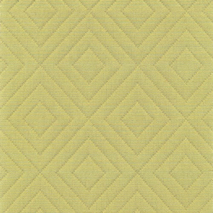 Diamontrigue Broccolini by Kasmir Fabric 1369 94% Cotton
6% Polyester
 USA 6,000 Wyzenbeek Double Rubs Horizontal: 3 inches and Vertical: 3 inches 54 - Fabric Carolina -