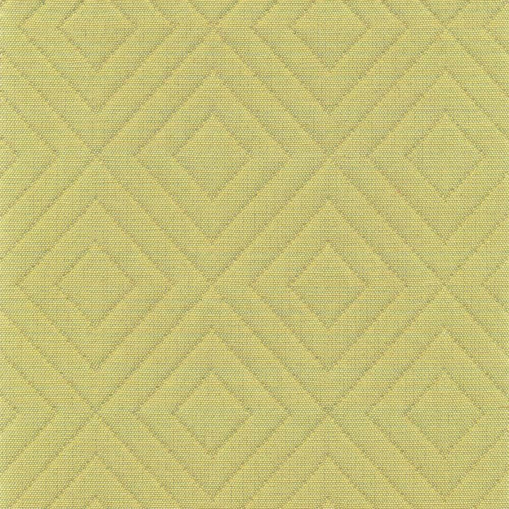 Diamontrigue Broccolini by Kasmir Fabric 1369 94% Cotton 6% Polyester USA 6,000 Wyzenbeek Double Rubs H: 3 inches, V:3 inches 54 - Fabric Carolina - Kasmir
