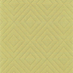 Diamontrigue Broccolini by Kasmir Fabric