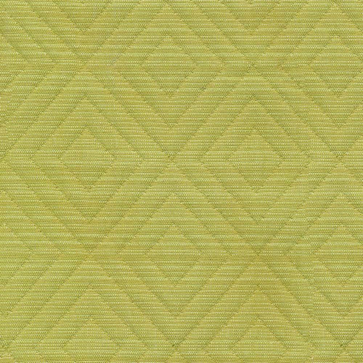 Diamontrigue Kiwi by Kasmir Fabric 1366 94% Cotton 6% Polyester USA 6,000 Wyzenbeek Double Rubs H: 3 inches, V:3 inches 54 - Fabric Carolina - Kasmir