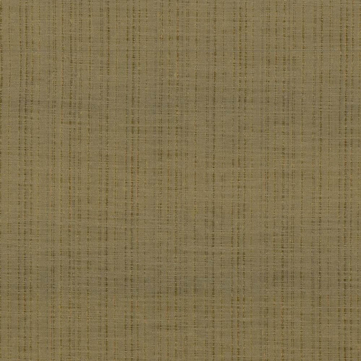 Diaphanous Antique Gold by Kasmir Fabric 5031 100% Polyester CHINA Not Tested Horizontal: 0 Inches and Vertical: 0 Inches 59 - 60 - Fabric Carolina -