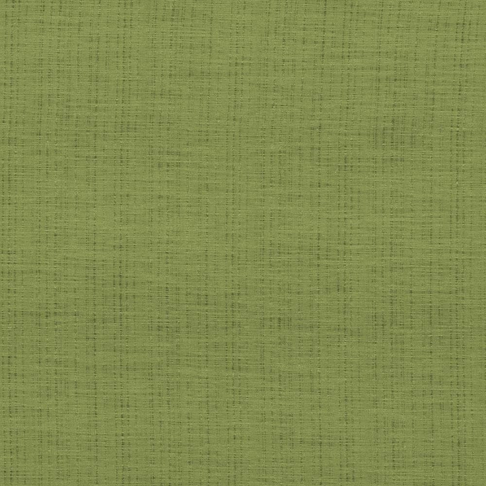 Diaphanous Apple Green by Kasmir Fabric 5031 100% Polyester
 CHINA </p><p>Repeat: Horizontal: N/A and Vertical: N/A 59 - 60 - Fabric Carolina -