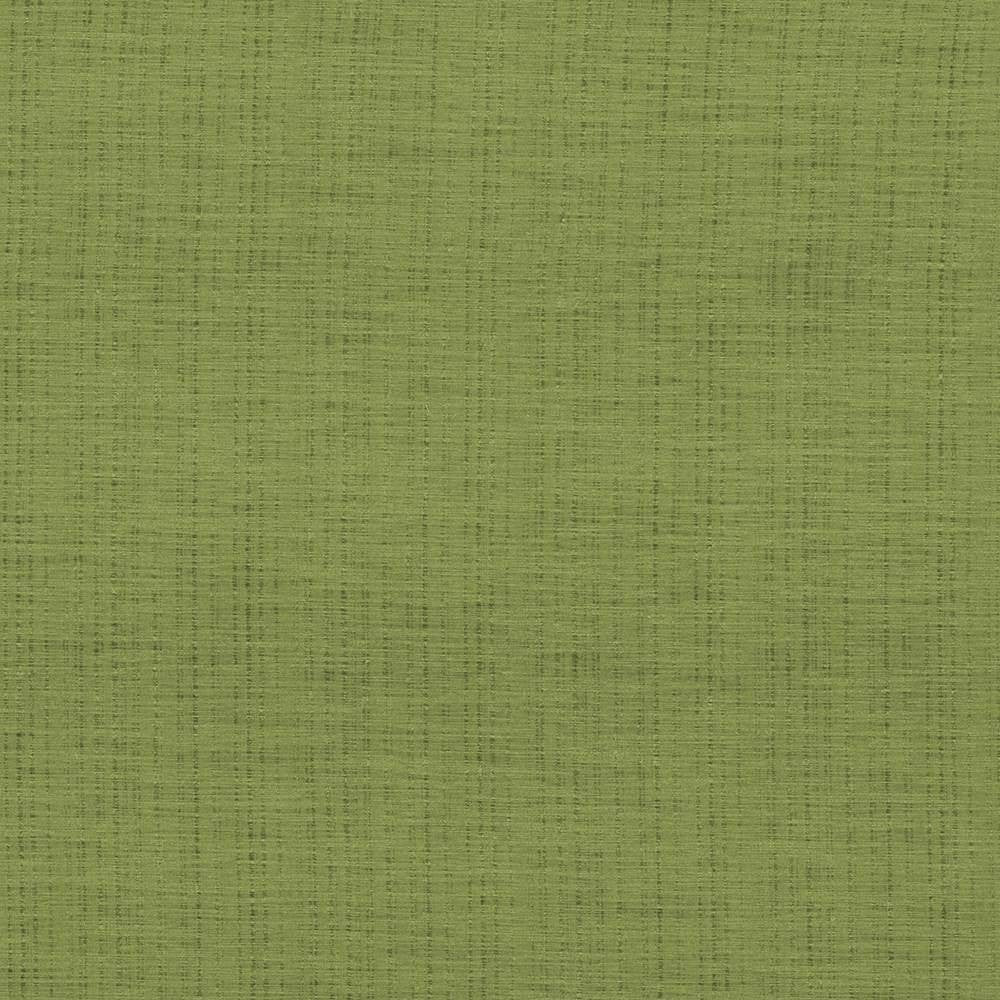 Diaphanous Apple Green by Kasmir Fabric 5031 100% Polyester CHINA Not Tested H: N/A, V:N/A 59 - 60 - Fabric Carolina - Kasmir
