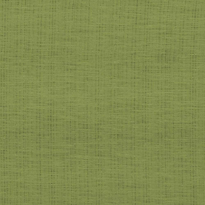Diaphanous Apple Green by Kasmir Fabric 5031 100% Polyester CHINA Not Tested H: N/A, V:N/A 59 - 60 - Fabric Carolina - Kasmir
