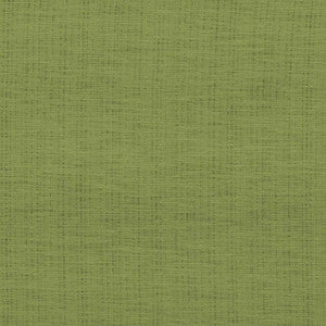 Diaphanous Apple Green by Kasmir Fabric