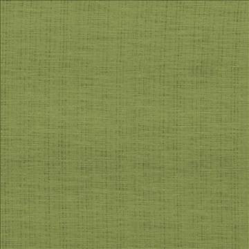 Diaphanous Apple Green by Kasmir Fabric 5031 100% Polyester CHINA Not Tested H: N/A, V: N/A 59 - 60 - Fabric Carolina - Kasmir