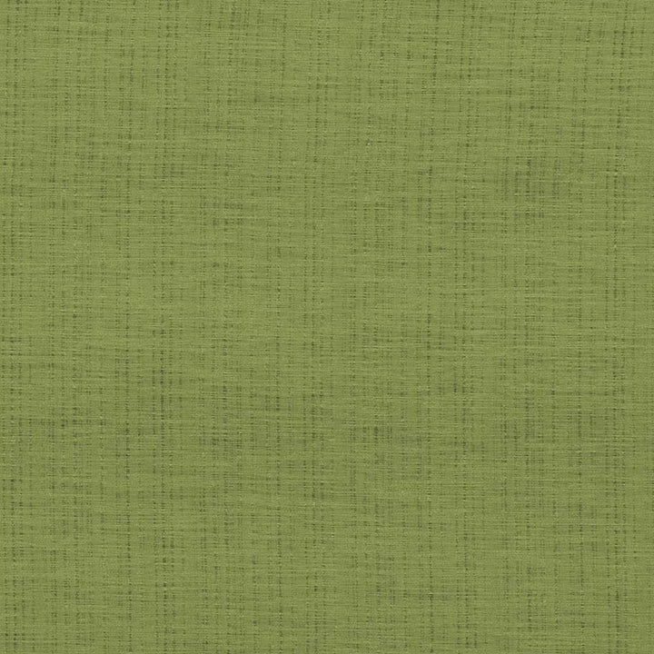 Diaphanous Apple Green by Kasmir Fabric 5031 100% Polyester CHINA Not Tested Horizontal: 0 Inches and Vertical: 0 Inches 59 - 60 - Fabric Carolina -