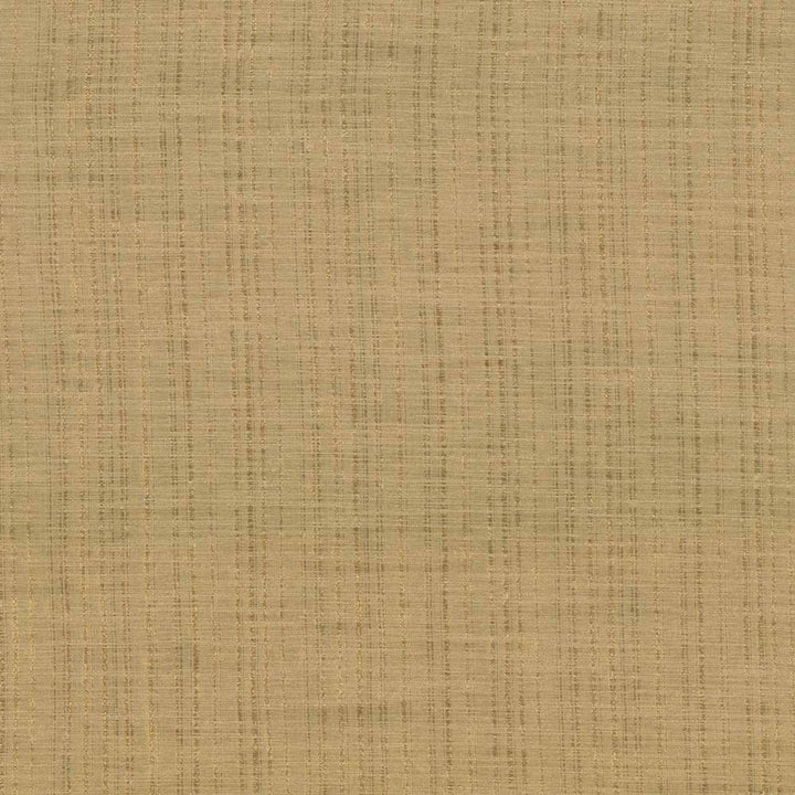 Diaphanous Apricot by Kasmir Fabric 5031 100% Polyester CHINA Not Tested H: N/A, V:N/A 59 - 60 - Fabric Carolina - Kasmir