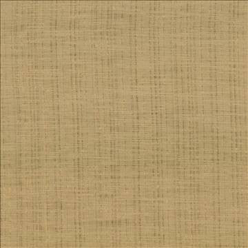 Diaphanous Apricot by Kasmir Fabric 5031 100% Polyester CHINA Not Tested H: N/A, V: N/A 59 - 60 - Fabric Carolina - Kasmir