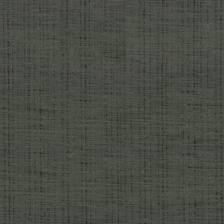 Diaphanous Ash Grey by Kasmir Fabric 5031 100% Polyester CHINA Not Tested Horizontal: 0 Inches and Vertical: 0 Inches 59 - 60 - Fabric Carolina -