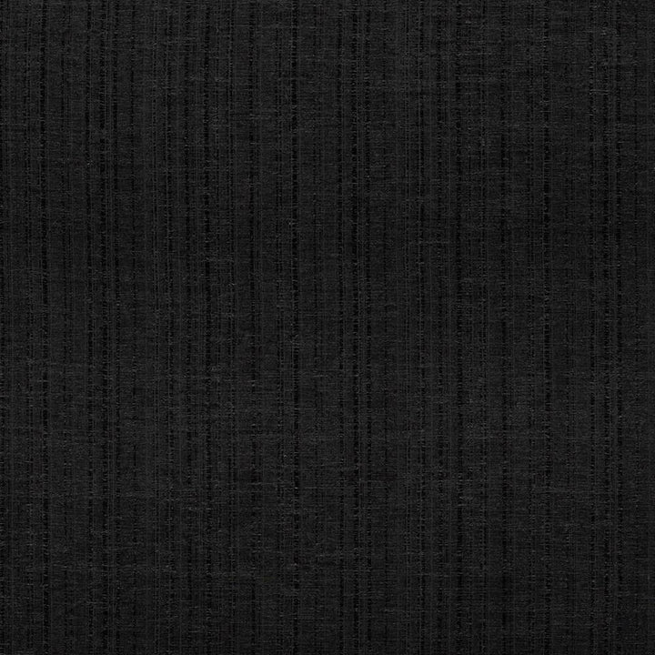 Diaphanous Black by Kasmir Fabric 5031 100% Polyester CHINA Not Tested H: N/A, V:N/A 59 - 60 - Fabric Carolina - Kasmir