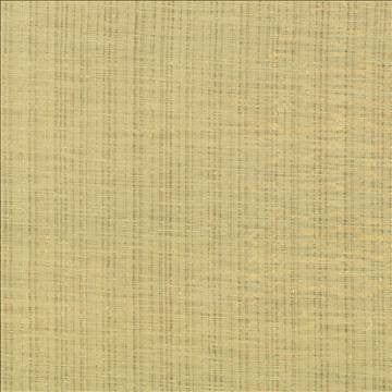 Diaphanous Butter by Kasmir Fabric 5031 100% Polyester CHINA Not Tested H: N/A, V: N/A 59 - 60 - Fabric Carolina - Kasmir