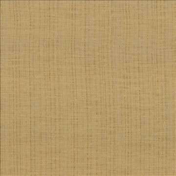 Diaphanous Gold by Kasmir Fabric 5031 100% Polyester CHINA Not Tested H: N/A, V: N/A 59 - 60 - Fabric Carolina - Kasmir