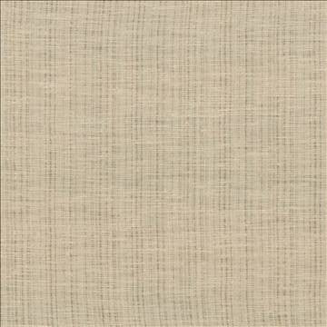Diaphanous Pearl by Kasmir Fabric 5031 100% Polyester CHINA Not Tested H: N/A, V: N/A 59 - 60 - Fabric Carolina - Kasmir