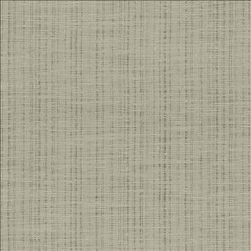 Diaphanous Sage by Kasmir Fabric 5031 100% Polyester CHINA Not Tested H: N/A, V: N/A 59 - 60 - Fabric Carolina - Kasmir