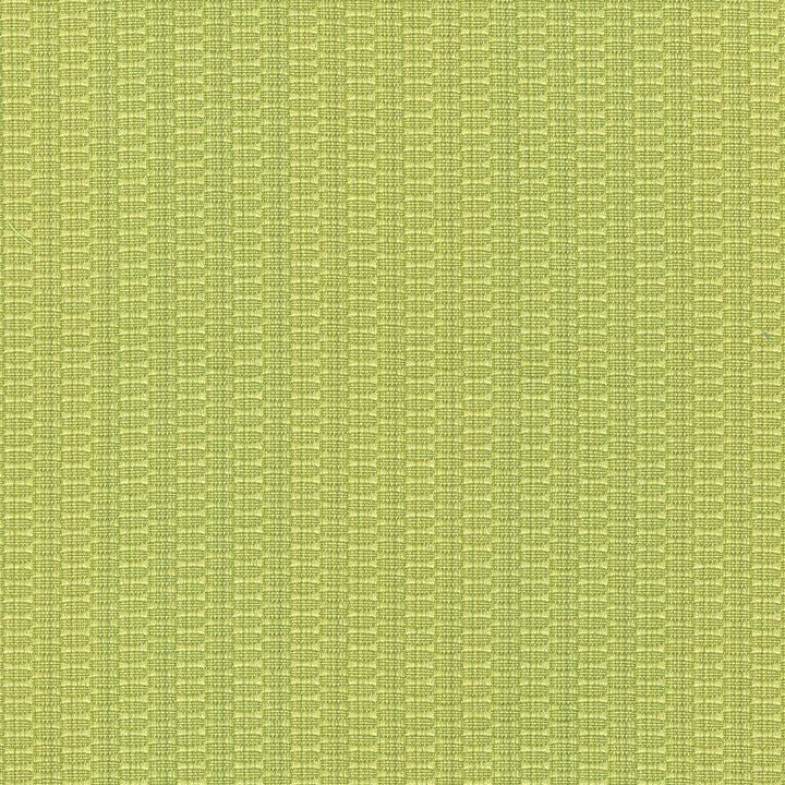 Diffusion Citrus by Kasmir Fabric 5074 56% Cotton
44% Polyester
 CHINA </p><p>Repeat: Horizontal: N/A and Vertical: N/A 55 - Fabric Carolina -