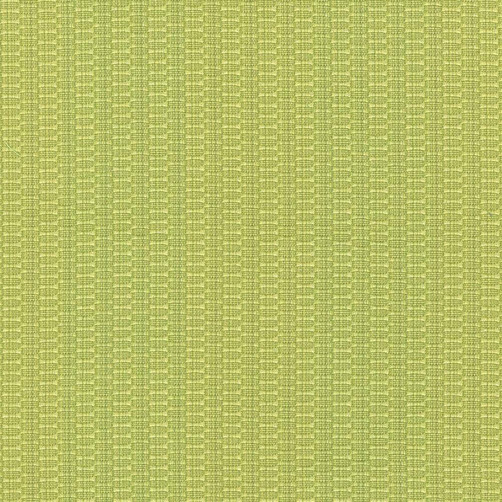 Diffusion Citrus by Kasmir Fabric 5074 56% Cotton 44% Polyester CHINA 27,000 Wyzenbeek Double Rubs H: N/A, V:N/A 55 - Fabric Carolina - Kasmir