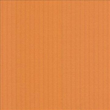 Diffusion Mango by Kasmir Fabric 5094 56% Cotton 44% Polyester CHINA 27,000 Wyzenbeek Double Rubs H: N/A, V: N/A 55 - Fabric Carolina - Kasmir