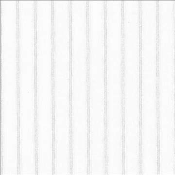 Dinky Winter White by Kasmir Fabric 5076 100% Polyester TURKEY Not Tested H: 4/8 inches, V: N/A 118 - Fabric Carolina - Kasmir