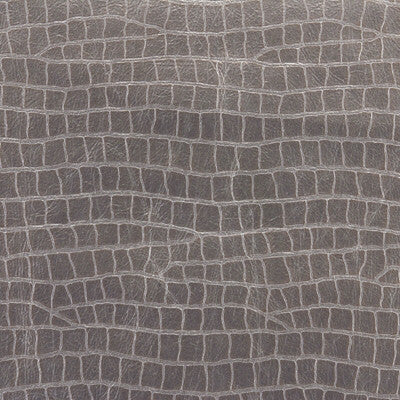 Dinotopia Quartz by Kravet Couture Fabric