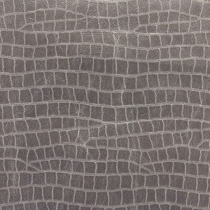 Dinotopia Quartz by Kravet Couture Fabric