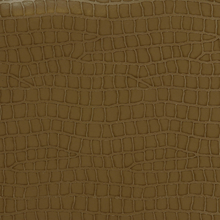 Dinotopia Stone by Kravet Couture Fabric