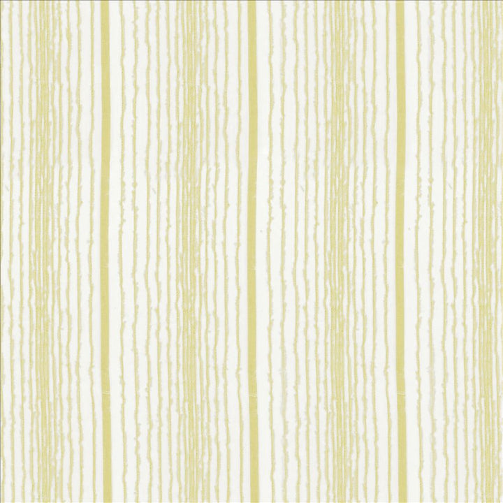 Disseminate Gold by Kasmir Fabric 5076 100% Polyester
 CHINA </p><p>Repeat: Horizontal: 7 inches and Vertical: N/A 115 - Fabric Carolina -