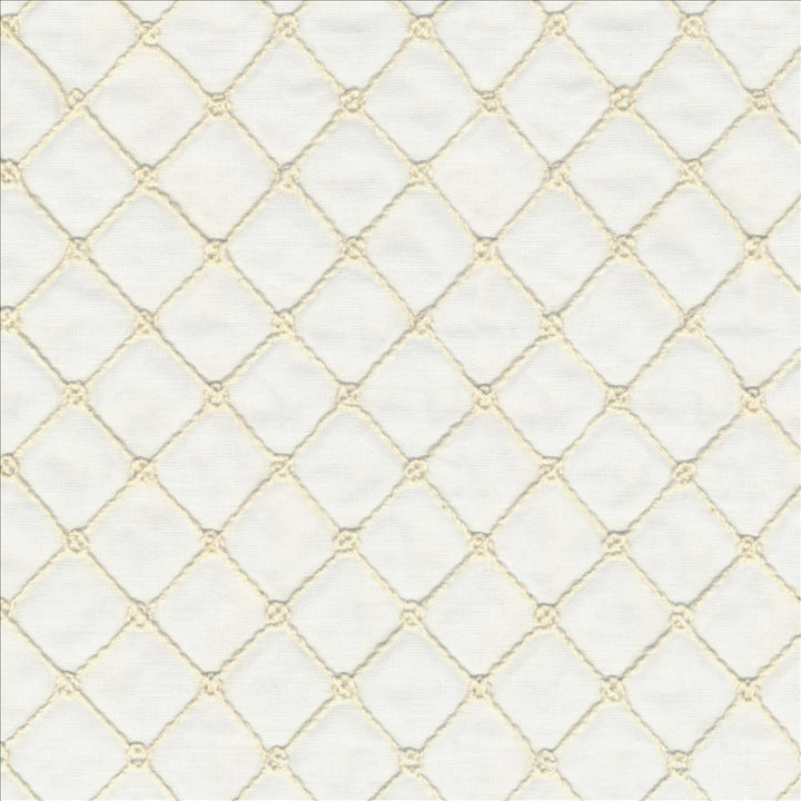 Diverge Vanilla by Kasmir Fabric 5111 60% Polyester
30% Cotton
10% Linen
 INDIA </p><p>Repeat: Horizontal: 2 1/8 inches and Vertical: 1 7/8 inches 51 - 56 - Fabric Carolina -