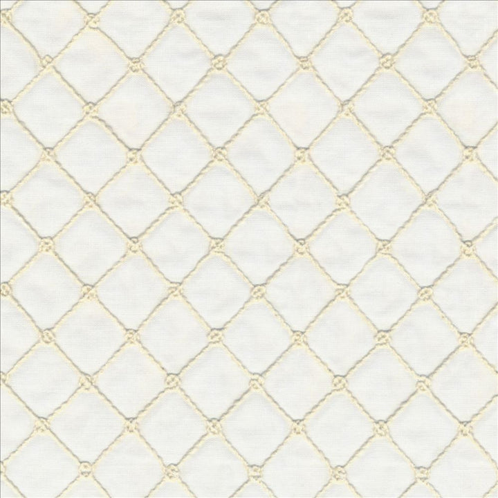 Diverge Vanilla by Kasmir Fabric 5111 60% Polyester
30% Cotton
10% Linen
 INDIA Not Tested </p><p>Repeat: Horizontal: 2 1/8 inches and Vertical: 1 7/8 inches 51 - Fabric Carolina -