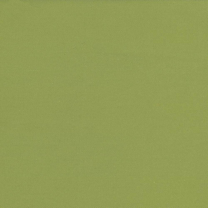 Docksider Artichoke by Kasmir Fabric 5057 100% Cotton
 USA 18,000 Wyzenbeek Double Rubs Horizontal: N/A and Vertical: N/A 57 - Fabric Carolina -