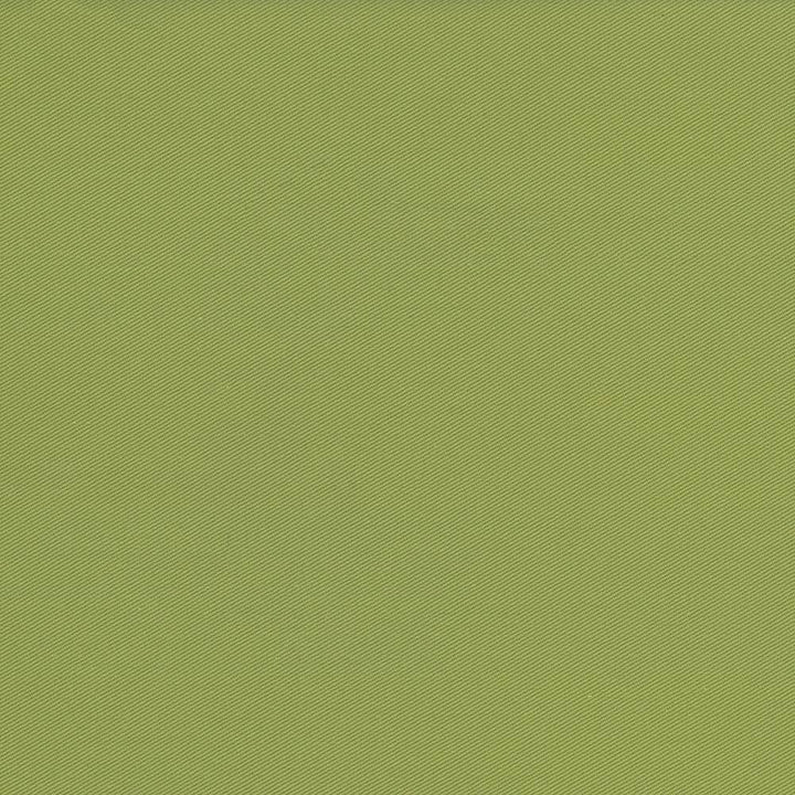 Docksider Artichoke by Kasmir Fabric 5057 100% Cotton USA 18,000 Wyzenbeek Double Rubs H: N/A, V:N/A 57 - 58 - Fabric Carolina - Kasmir