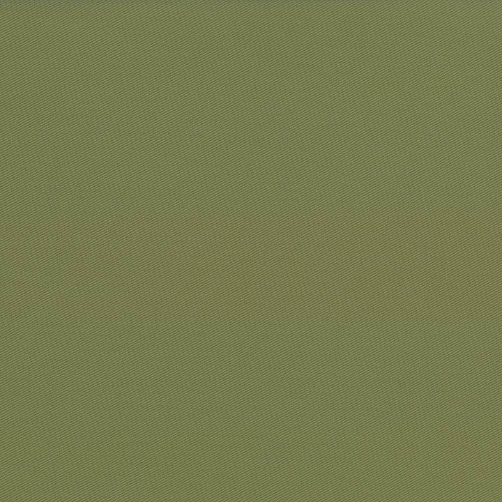 Docksider Basil by Kasmir Fabric 5057 100% Cotton USA 18,000 Wyzenbeek Double Rubs H: N/A, V:N/A 57 - 58 - Fabric Carolina - Kasmir