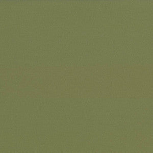 Docksider Basil by Kasmir Fabric