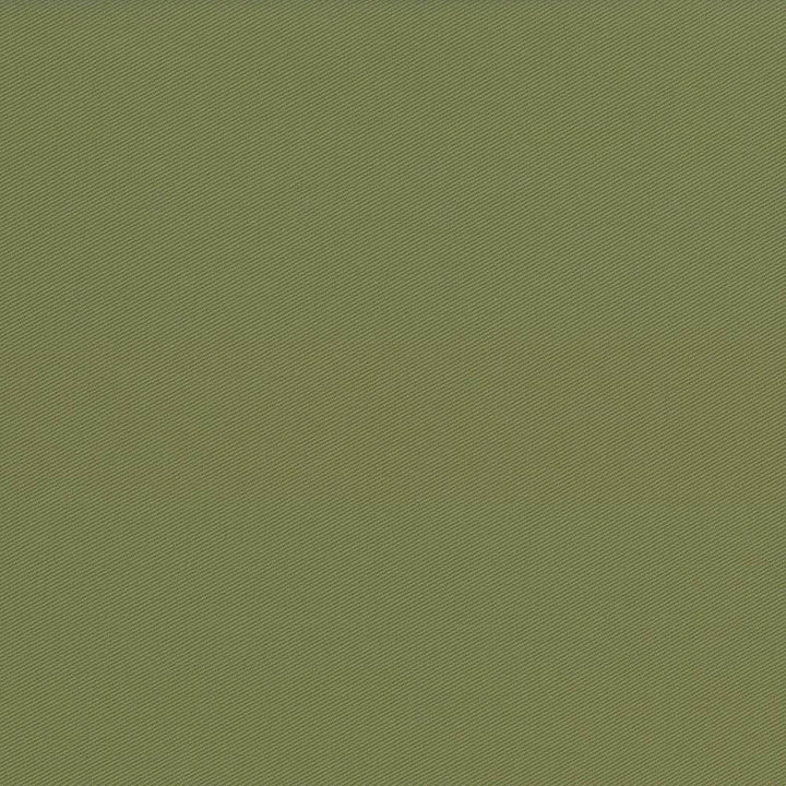 Docksider Basil by Kasmir Fabric 5057 100% Cotton
 USA </p><p>Repeat: Horizontal: N/A and Vertical: N/A 57 - 58 - Fabric Carolina -