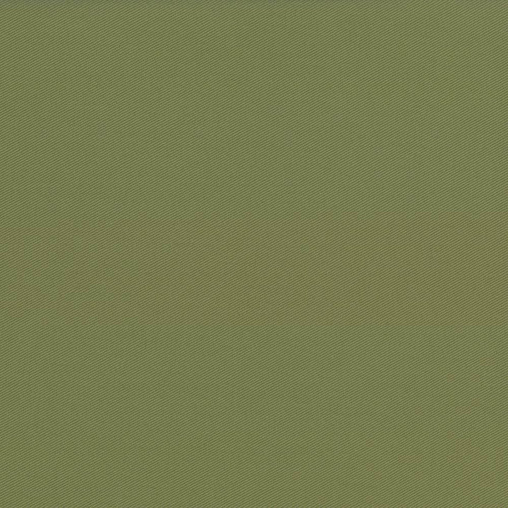 Docksider Basil  by Kasmir Fabric See sample 100% Cotton
 USA 18,000 Wyzenbeek Double Rubs </p><p>Repeat: Horizontal: N/A and Vertical: N/A 57  - Fabric Carolina -