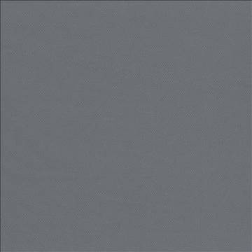 Docksider Chrome by Kasmir Fabric 5057 100% Cotton USA 18,000 Wyzenbeek Double Rubs H: N/A, V: N/A 57 - 58 - Fabric Carolina - Kasmir