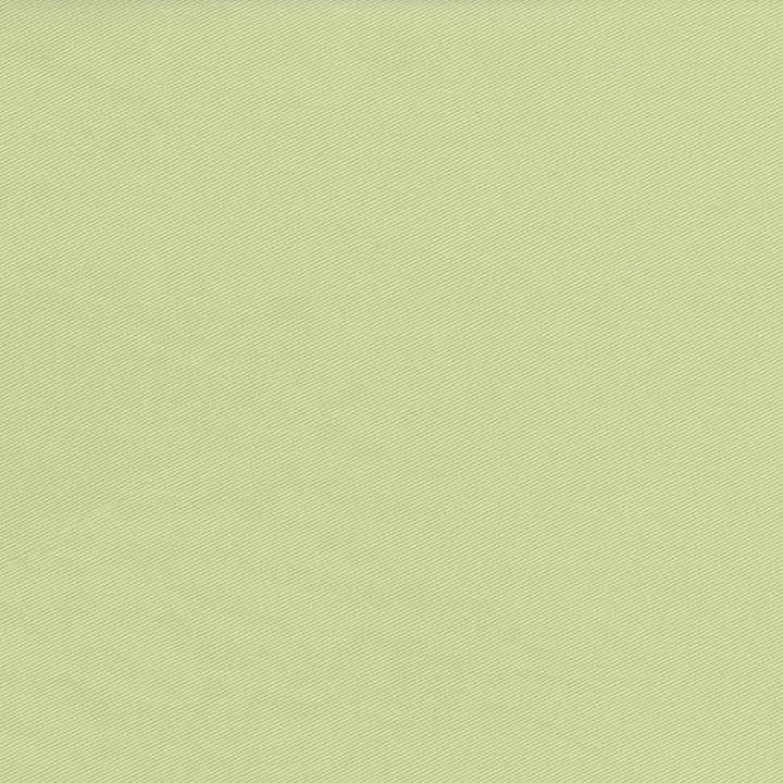 Docksider Greenhouse by Kasmir Fabric 5057 100% Cotton
 USA </p><p>Repeat: Horizontal: N/A and Vertical: N/A 57 - 58 - Fabric Carolina -
