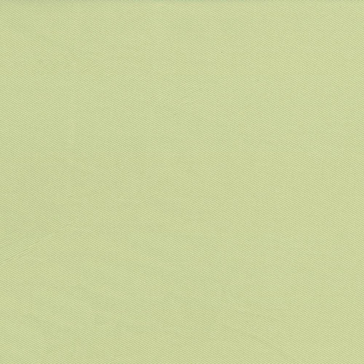 Docksider Greenhouse by Kasmir Fabric 5057 100% Cotton
 USA </p><p>Repeat: Horizontal: N/A and Vertical: N/A 57 - 58 - Fabric Carolina -
