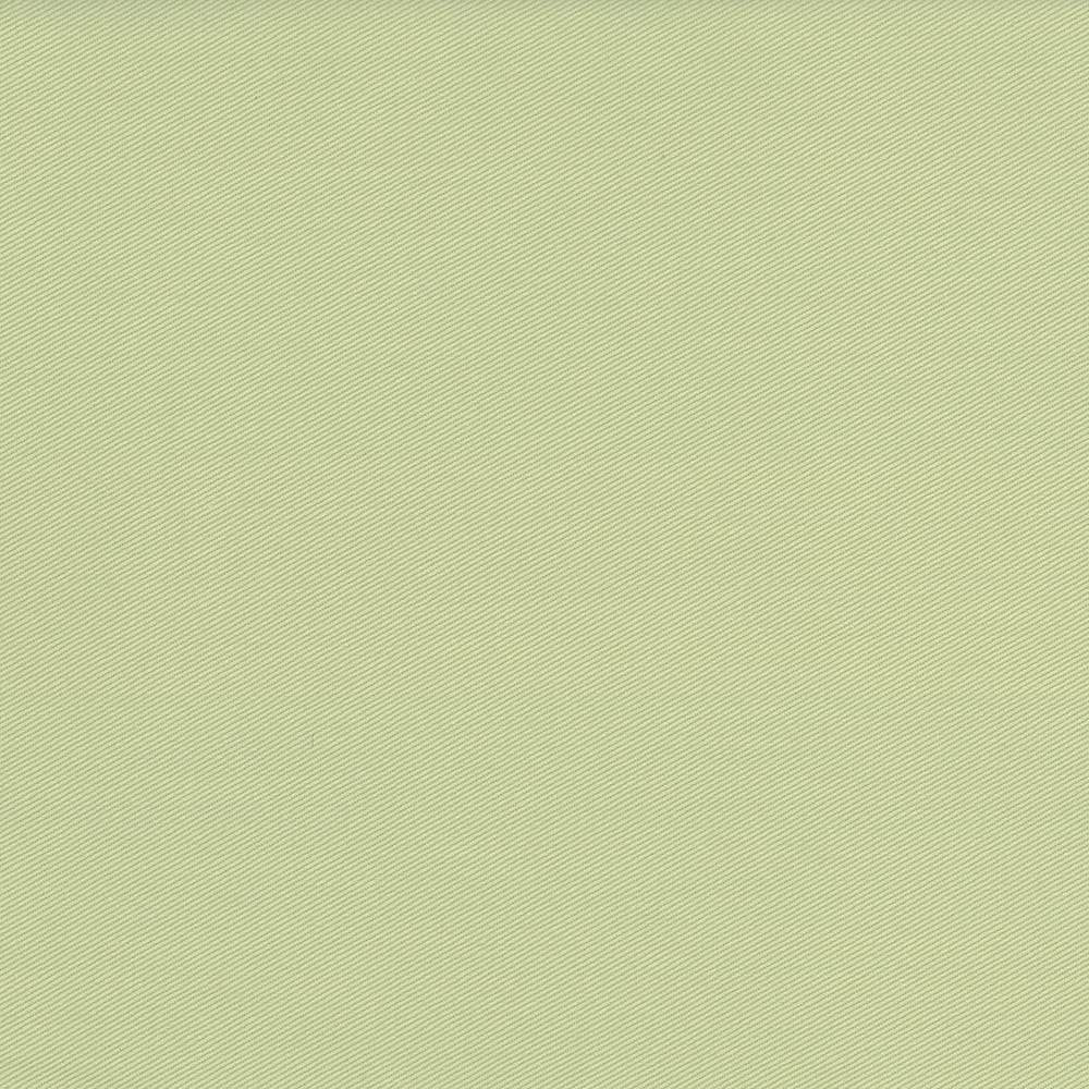 Docksider Light Sage by Kasmir Fabric 5057 100% Cotton
 USA </p><p>Repeat: Horizontal: N/A and Vertical: N/A 57 - 58 - Fabric Carolina -