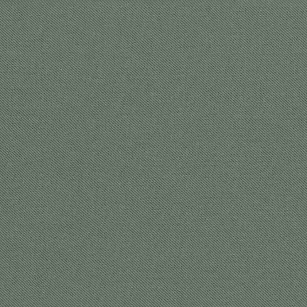 Docksider Loden by Kasmir Fabric 5057 100% Cotton
 USA 18,000 Wyzenbeek Double Rubs Horizontal: N/A and Vertical: N/A 57 - Fabric Carolina -