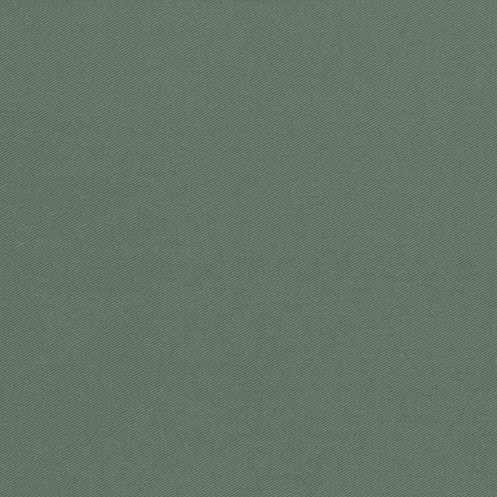 Docksider Loden by Kasmir Fabric 5057 100% Cotton
 USA </p><p>Repeat: Horizontal: N/A and Vertical: N/A 57 - 58 - Fabric Carolina -