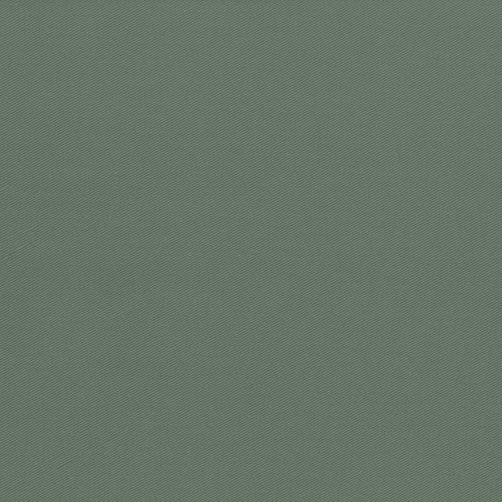Docksider Loden by Kasmir Fabric 5057 100% Cotton USA 18,000 Wyzenbeek Double Rubs H: N/A, V:N/A 57 - 58 - Fabric Carolina - Kasmir