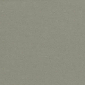 Docksider Putty by Kasmir Fabric