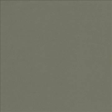 Docksider Steel by Kasmir Fabric 5057 100% Cotton USA 18,000 Wyzenbeek Double Rubs H: N/A, V: N/A 57 - 58 - Fabric Carolina - Kasmir