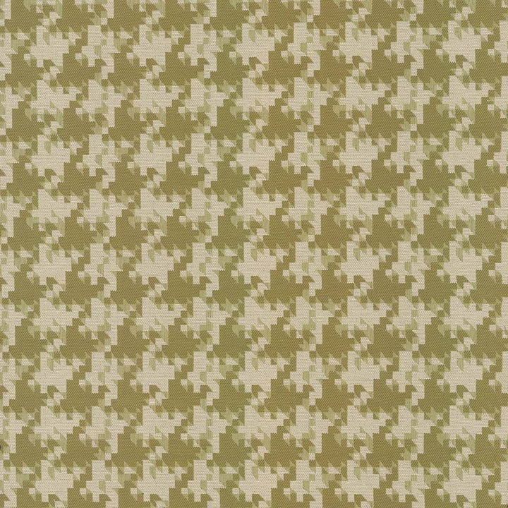 Dog Park Citrus by Kasmir Fabric 5090 62% Polyester 38% Cotton TURKEY 15,000 Wyzenbeek Double Rubs H: 3 4/8 inches, V:3 4/8 inches 56 - Fabric Carolina - Kasmir