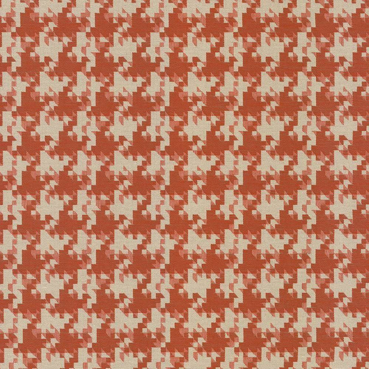 Dog Park Orange by Kasmir Fabric 5086 62% Polyester 38% Cotton TURKEY 15,000 Wyzenbeek Double Rubs H: 3 4/8 inches, V:3 4/8 inches 56 - Fabric Carolina - Kasmir