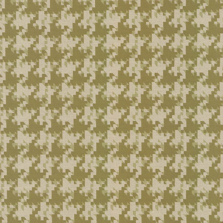 Dog Park Citrus by Kasmir Fabric 5090 62% Polyester
38% Cotton
 TURKEY </p><p>Repeat: Horizontal: 3 4/8 inches and Vertical: 3 4/8 inches 56 - Fabric Carolina -